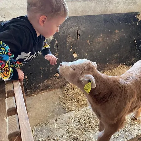 Radlerstation-sandhof Berg im Drautal