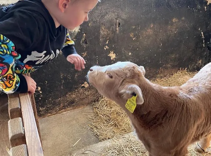 Radlerstation-sandhof ברג אים דראוטל
